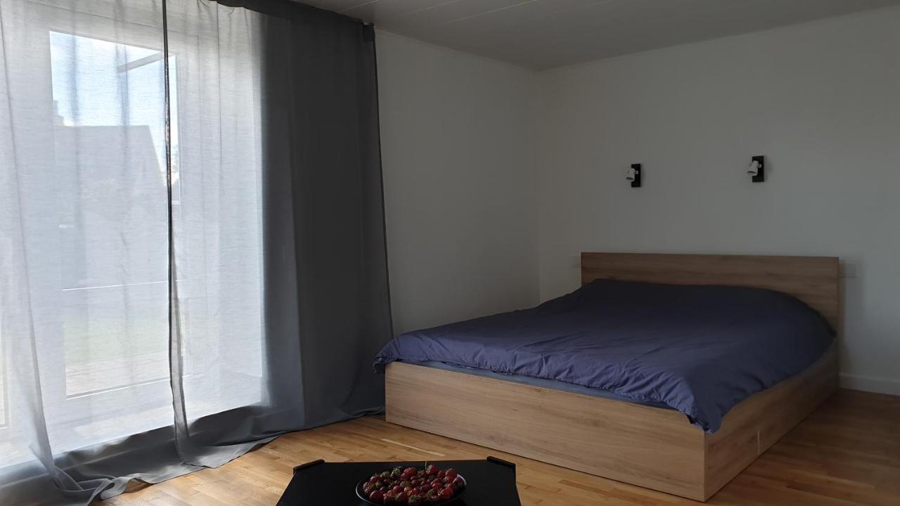 Apartamento Muziejaus 10 Studija Anykščiai Exterior foto